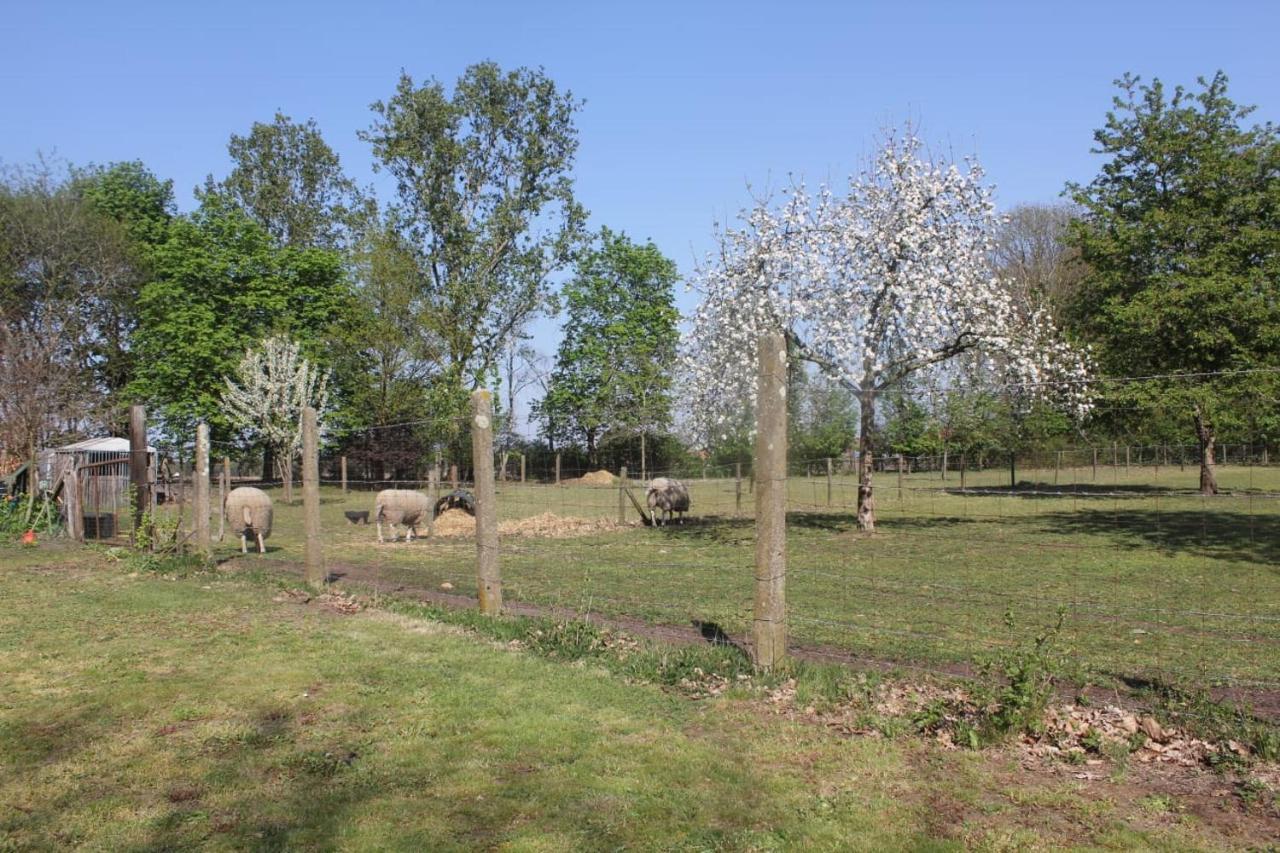 Beej Potters Bed & Breakfast Weert Exterior foto